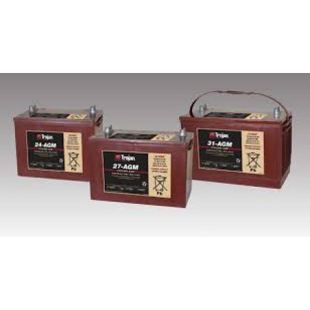 Bateria Trojan Overdrive AGM 31